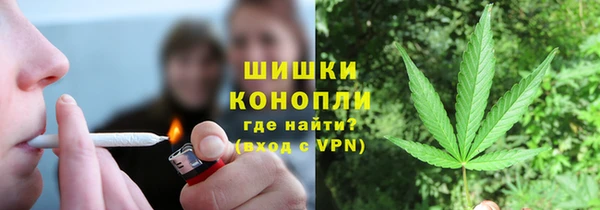 прущие грибы Медвежьегорск