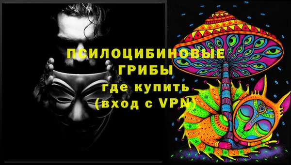 трава Магас