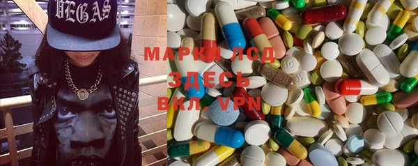 трава Магас