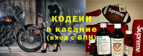 прущие грибы Медвежьегорск