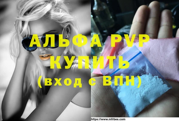 прущие грибы Медвежьегорск