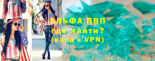 прущие грибы Медвежьегорск