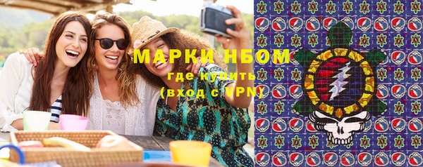 прущие грибы Медвежьегорск