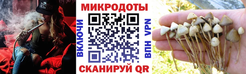 закладки  Арзамас  Псилоцибиновые грибы ЛСД 