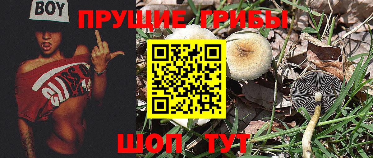 Арзамас  Галлюциногенные грибы мицелий  Галлюциногенные грибы мицелий  Вход с VPN 